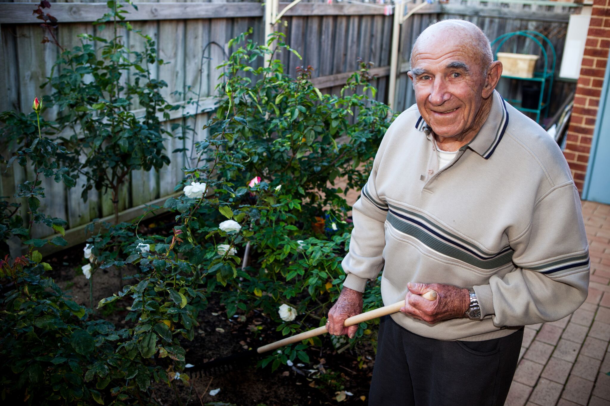 occupational therapy services under DVA for veterans